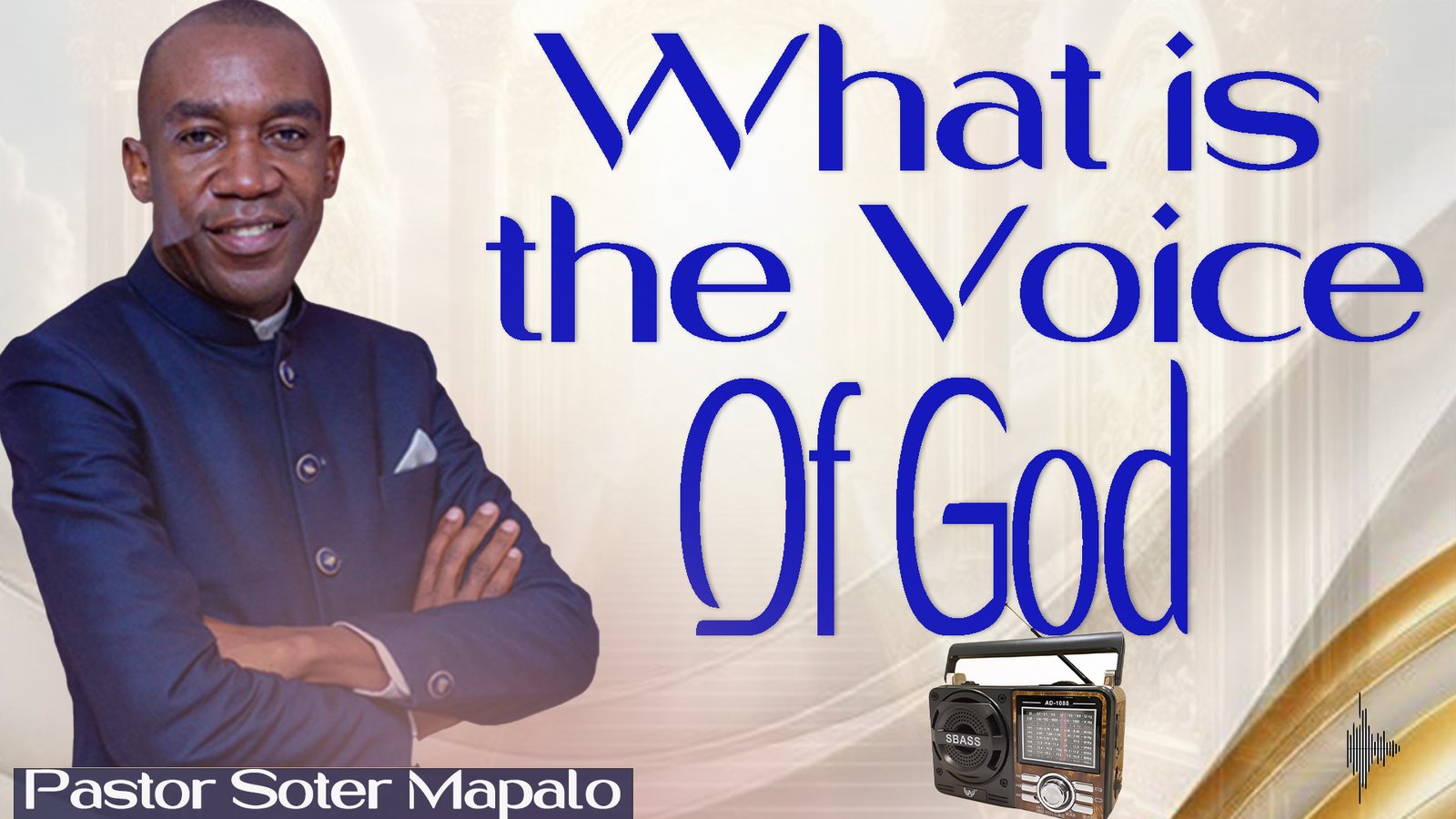 WHAT IS THE VOCE OGD